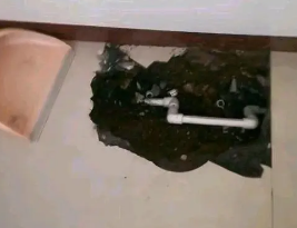 南宫卫生间测漏水多少钱